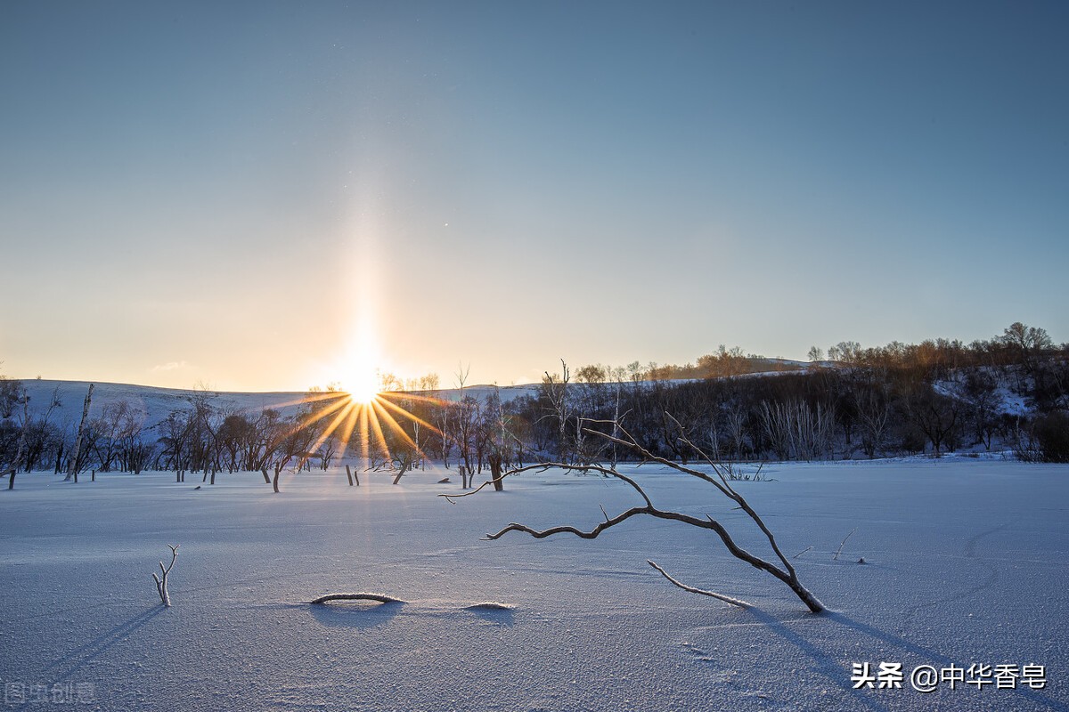 试试就试试皂，沐浴清晨的**缕阳光，傲迎霜雪勇敢前进