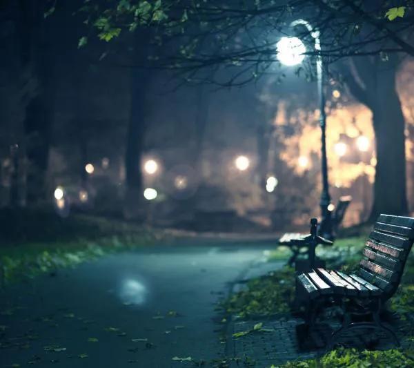 发视频一天赚1000，自媒体是怎么赚钱的？一篇文章为你揭秘