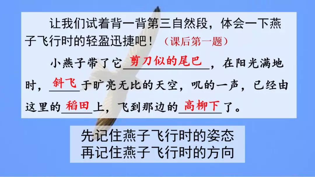 部编版三年级语文下册第二课《燕子》知识点及课堂测试题