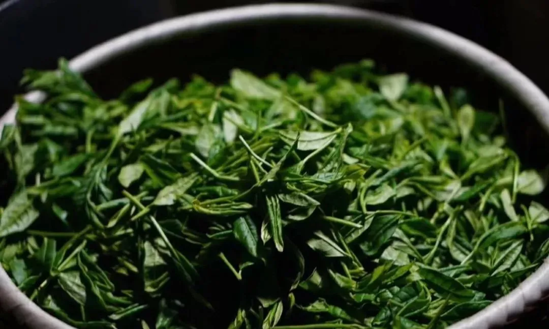 细说绿茶中的最魁梧的茶，太平猴魁