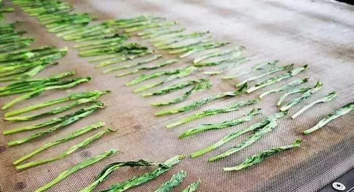 细说绿茶中的最魁梧的茶，太平猴魁
