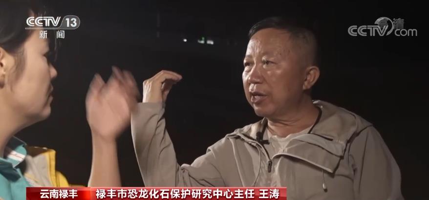 一眼穿越亿万年 重返侏罗纪 |“禄丰恐龙头朝东方”之谜的图片 -第5张