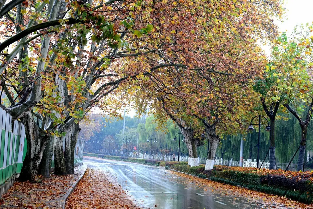 时过境迁，物是人非