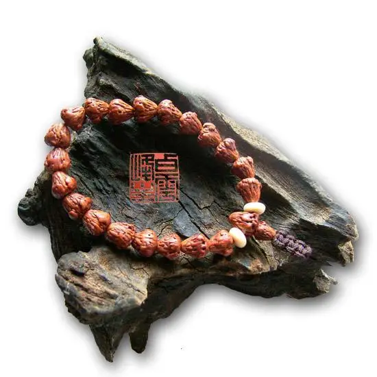 菩提子种类全详解（配图不易）