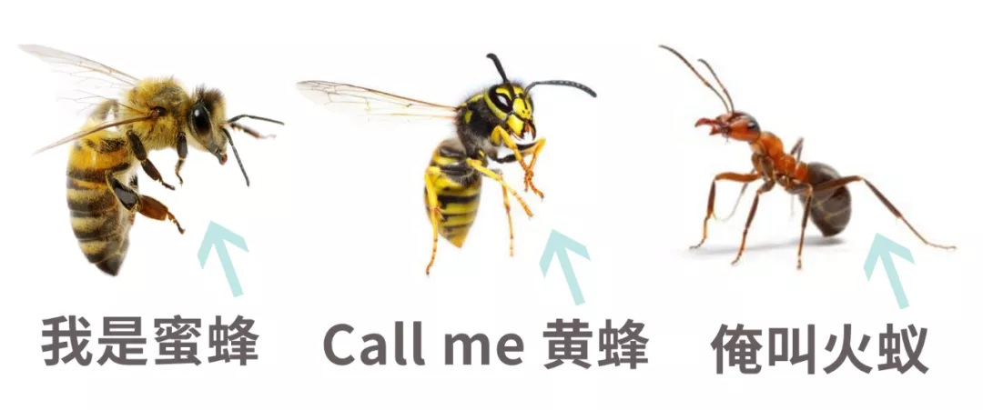 5岁前高发！孩子出现这种咳嗽，马上就医，一刻也别耽误