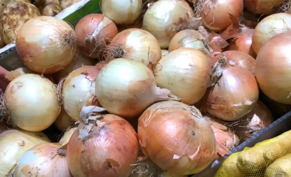 入伏吃什么菜好（适合入伏吃的5种菜）