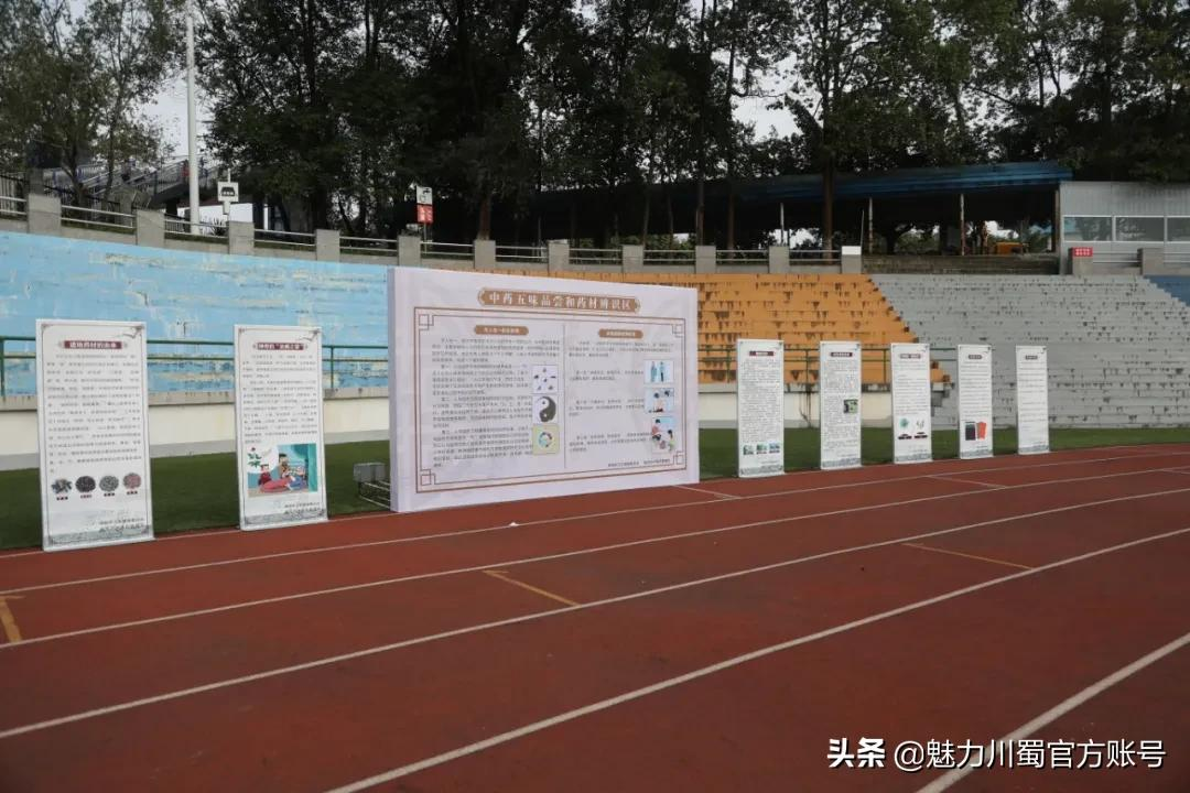 中医药文化进校：科学城一中弘扬传统文化，助力青少年健康成长