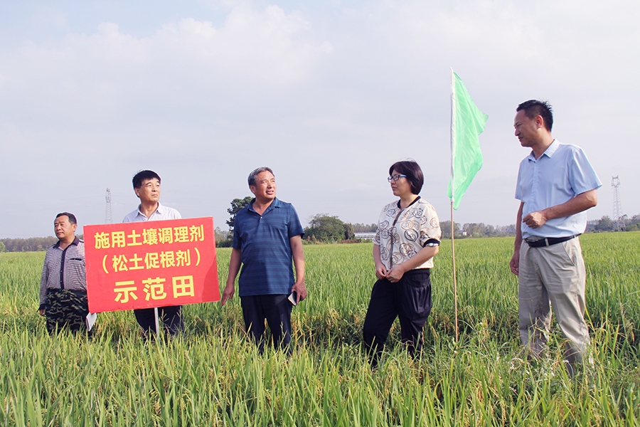 土壤結構性障礙問題，導致作物生長亞健康狀態怎么辦？