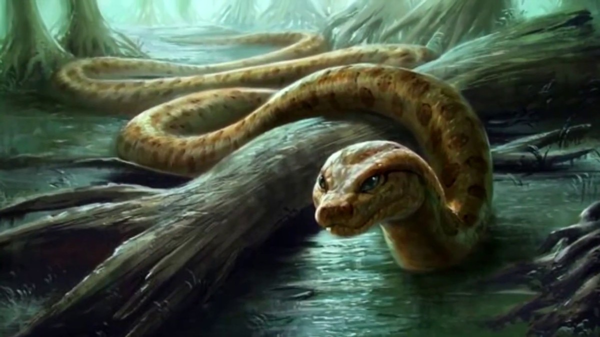 云南省发现5米巨蟒，蛇龄或达二三十年！这种巨蟒国内可以养吗？
