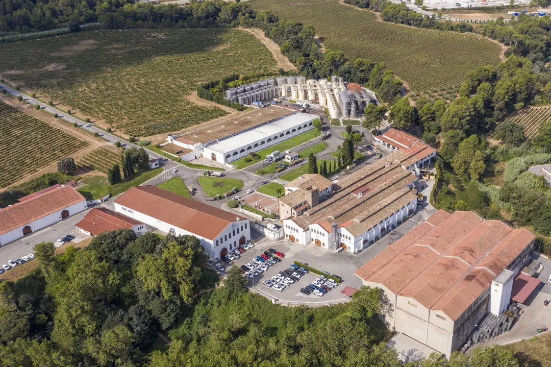 桃红产品亮相男士展，看维达斯如何用“反差性”方式推广？