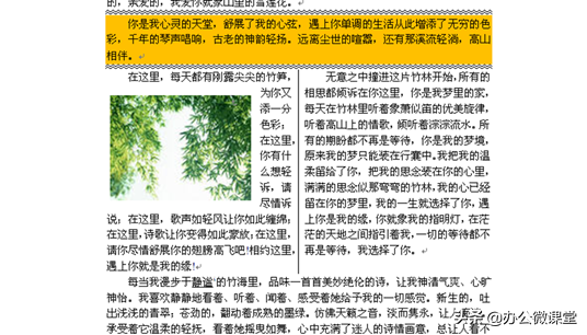 Word文档如何设置分栏显示？详细操作步骤指南