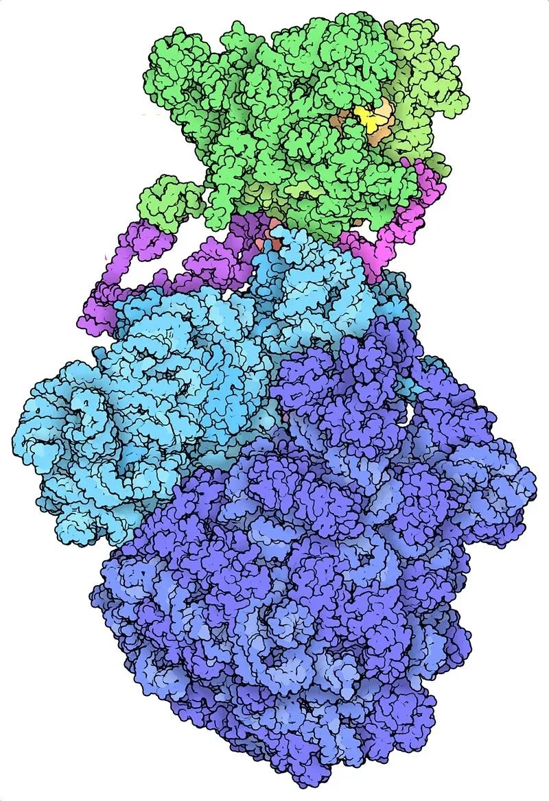 改变科学的十大编程软件