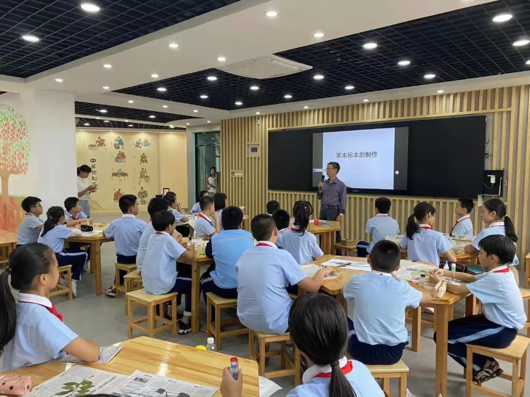 点赞！丰泽这所学校深耕细作，让中医药文化在校园中扎根绽放