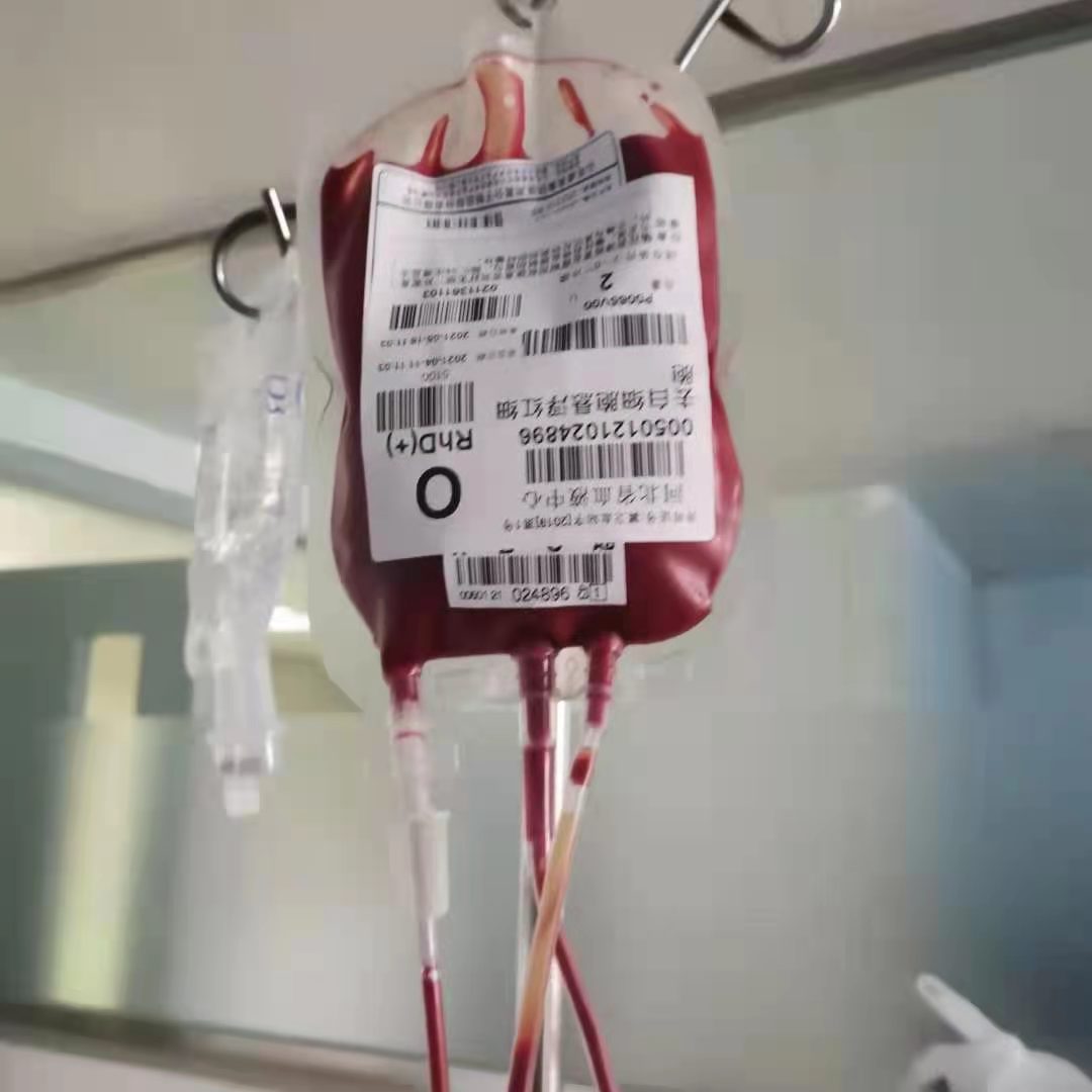 关于输血的美文
