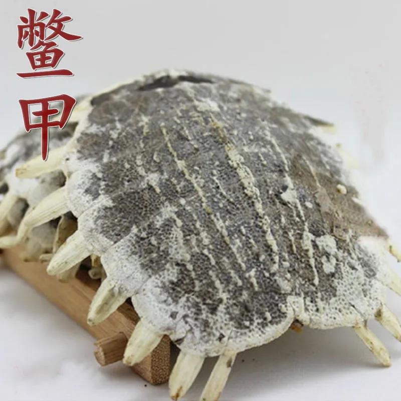 中药古今研究：鳖甲