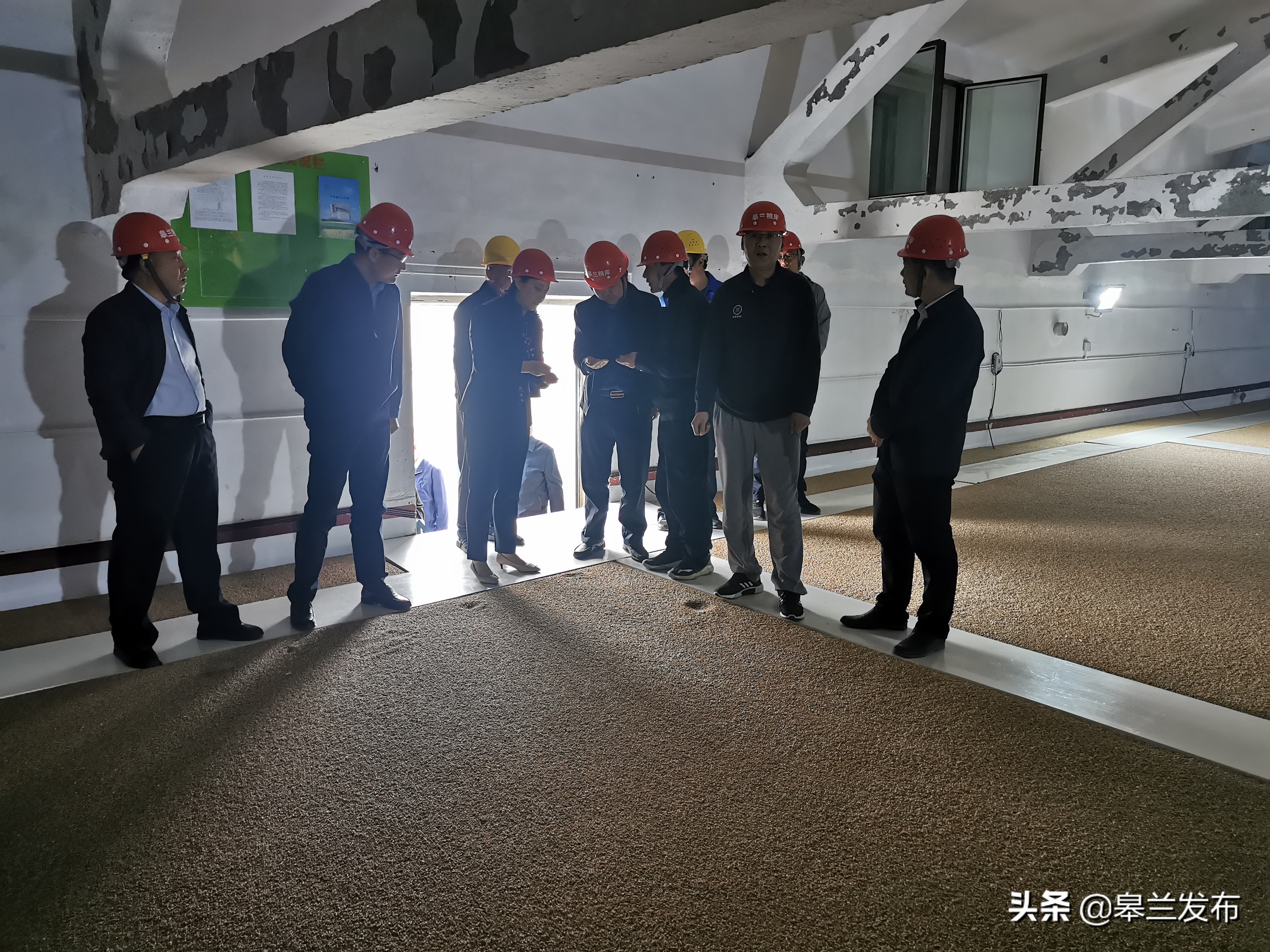 皋兰县委、县政府主要领导调研粮食储备工作
