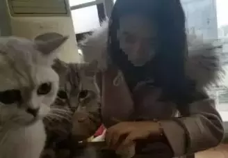 00后女友花400多给爱犬美容,男友花30元理发却嫌贵?