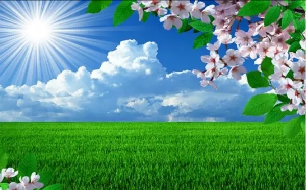 在婚姻中、你们是否遇到过冷暴力？你们是如何应对、又如何避免的