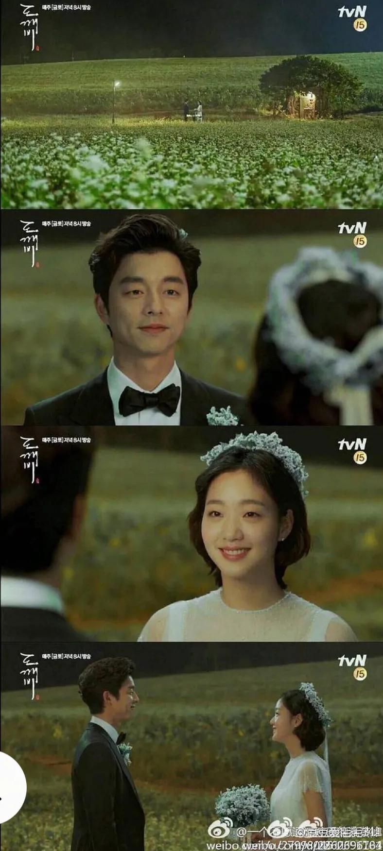 荞麦花的花语鬼怪荞麦花束图片