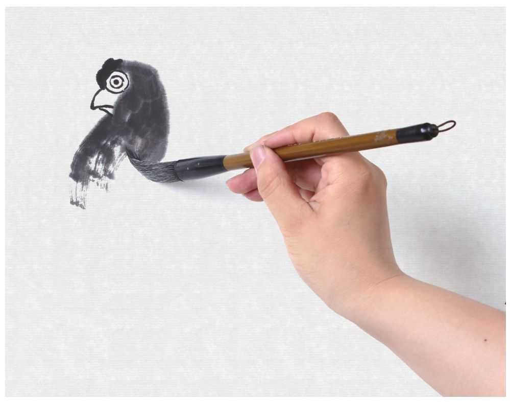 零基础国画教程：分步骤讲解鸽子画法，用浓淡相间的墨色画鸽子