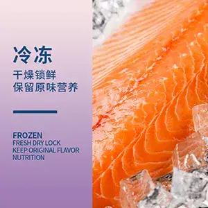养狗必修小课堂——狗粮怎么选?