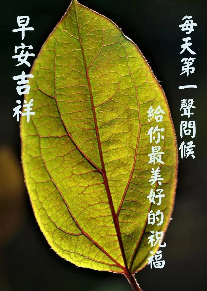 托一片云霞带一份祝福给你,同时由衷地向你说一声:早安快乐
