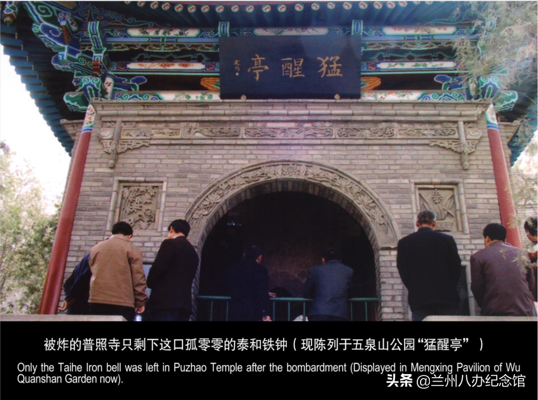 在线观展 
