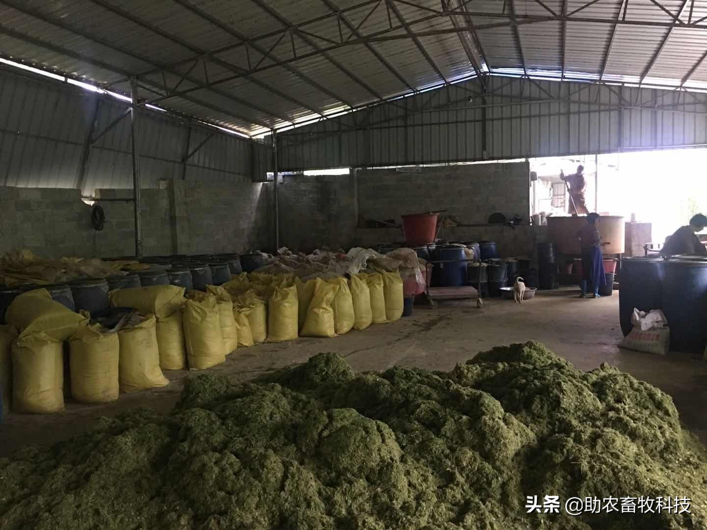 今后只有三種豬場(chǎng)（自有散養(yǎng)豬場(chǎng)）是可以長(zhǎng)期保持穩(wěn)定盈利的