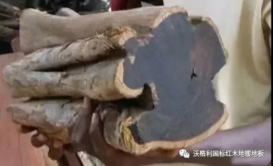 沃格利国标红木大宅地暖地板木材百科全书（三）世界上最硬的木头