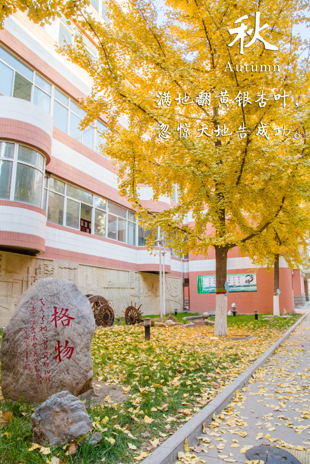 石家莊一中吧分享石家莊一中怎么樣(圖18)