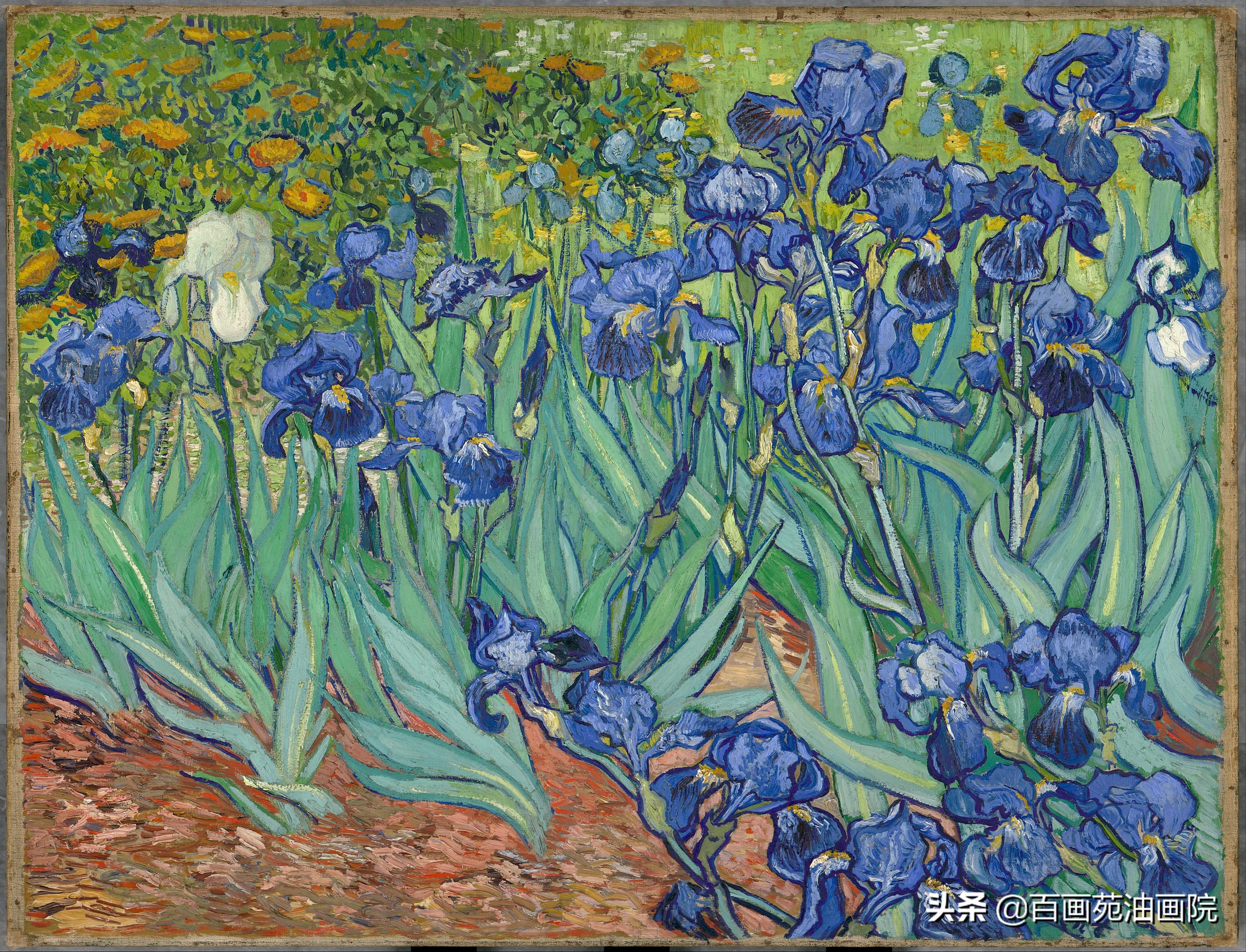 油画大师梵高——《草与蝴蝶》画作分析