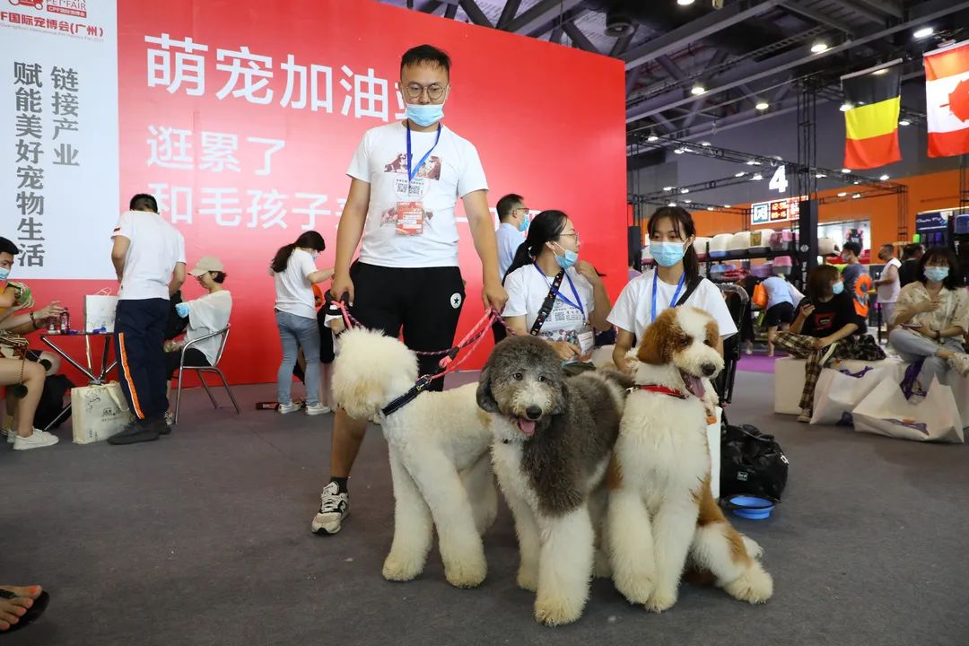 2022CPF广州国际展门票优惠购，上千只萌宠0距离接触