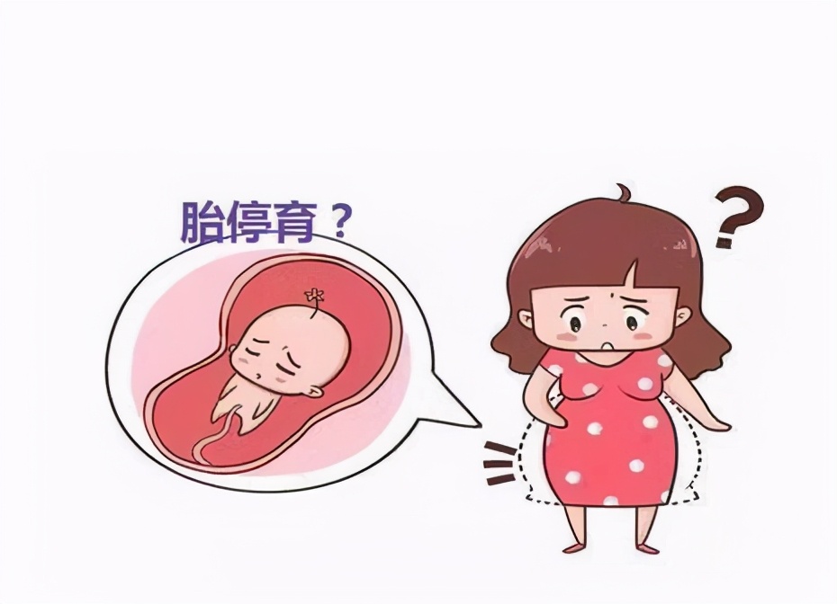 什么是胚胎停育？胚胎停止发育的症状