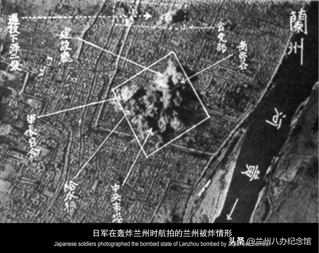 在线观展 