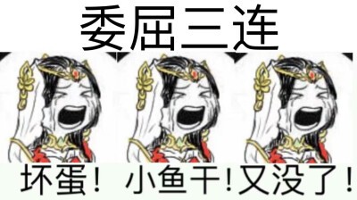 剑网三那些让人DNA动了的场景：明教被迫切T，花间拒绝切奶被劝退