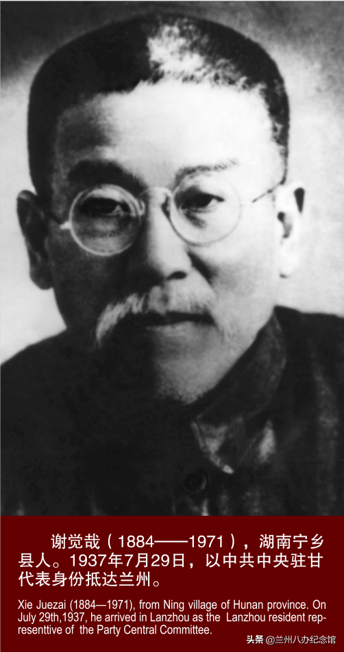 在线观展 