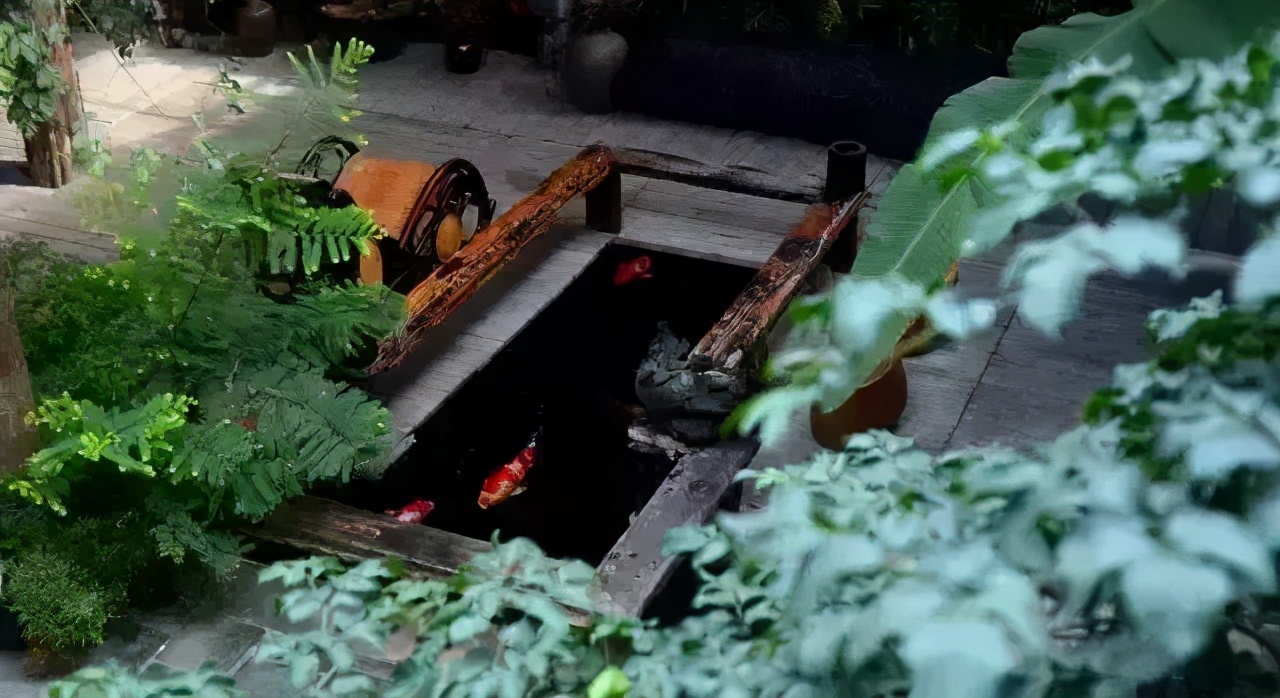 花园只有造个锦鲤鱼池，才能堪称最美庭院