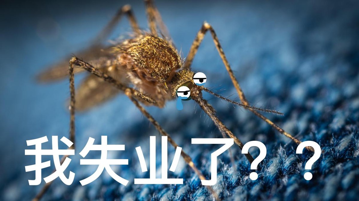 新疆北湾每立方米1700只蚊子，冰岛却完全没蚊子，这是为什么？