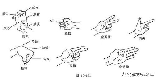 女子防身术动作方法大全，男人也应该收藏的街斗搏击格斗技法