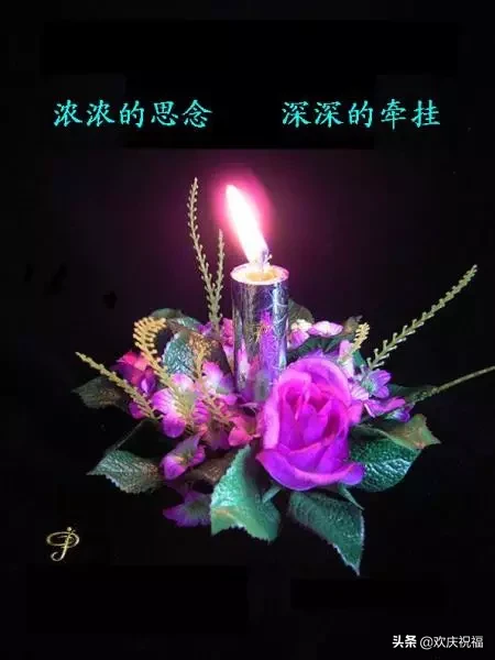 今天2019年最后一天，最全问候图片送给群里每一位朋友，太漂亮了