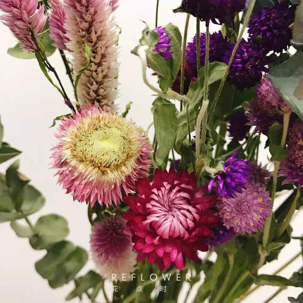 永生花真的永生吗?别天真了?