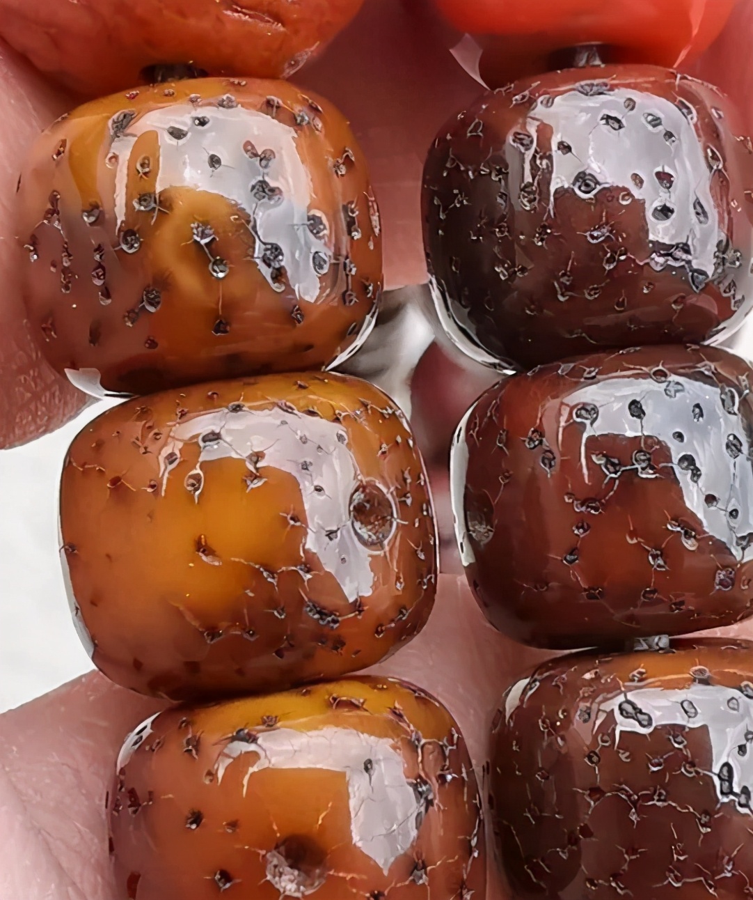 星月菩提子怎么盘(星月菩提包浆开片和原生态的区别) 第9张