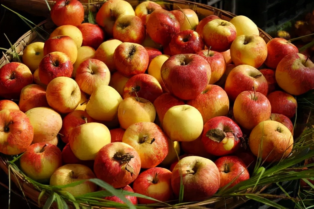 吃苹果可以“降血脂”？怎么吃更健康？营养师告诉你3个准则