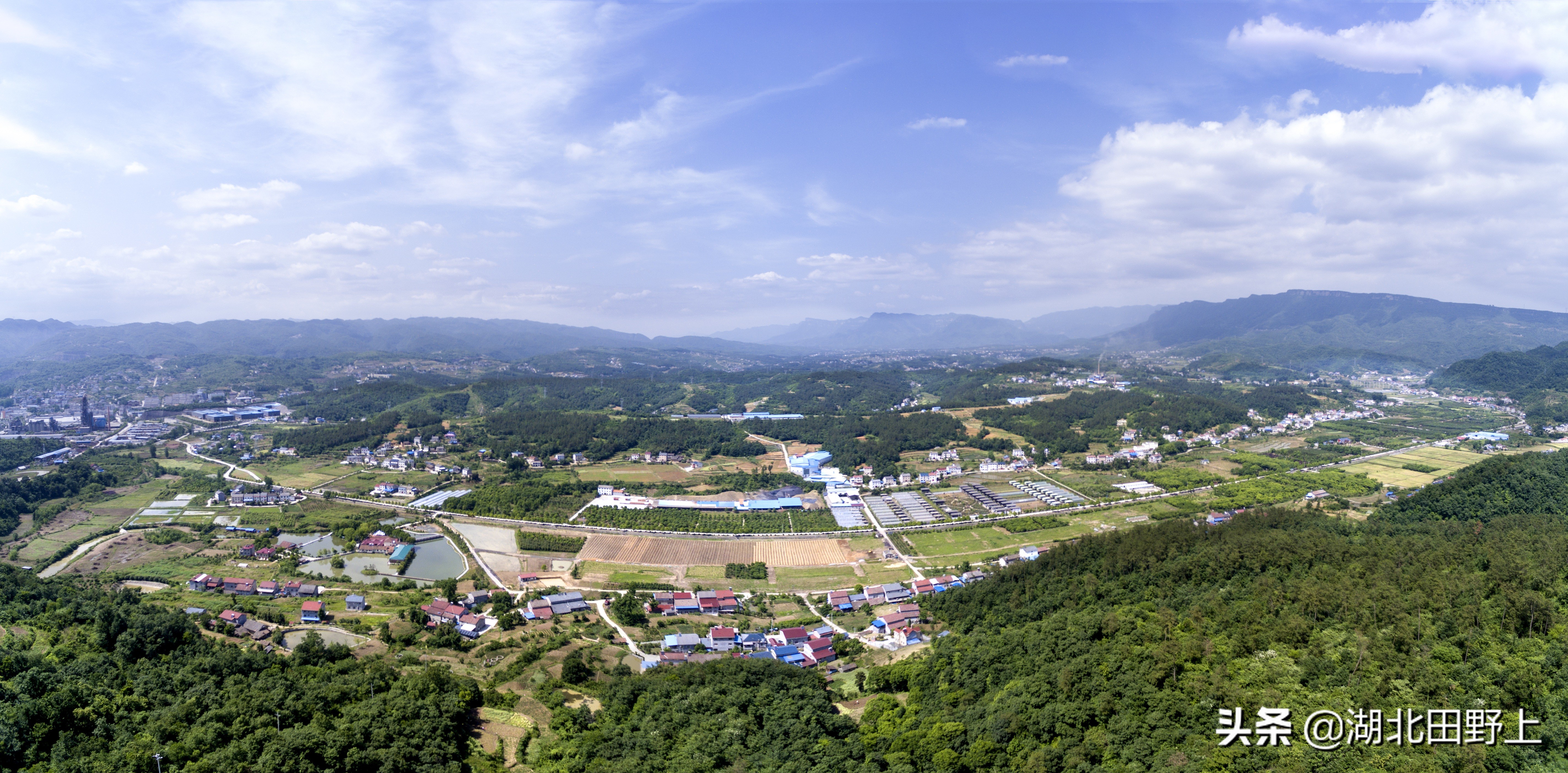 走进一个农旅产业大村——夷陵区黄花镇军田坝村