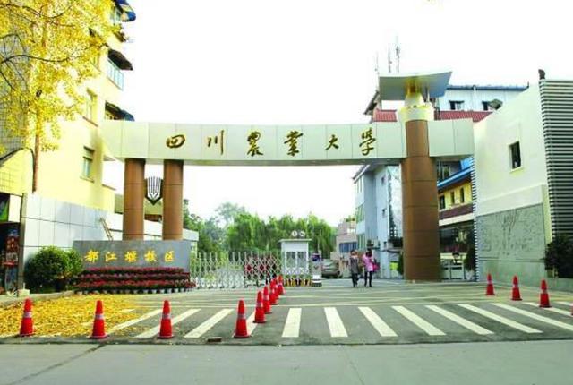 四川最好的六所大学，五所位于“天府之国”成都，你知道几所呢