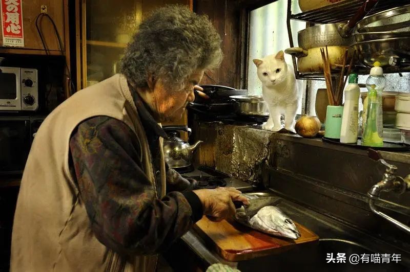 谢谢，福丸！再见，福丸