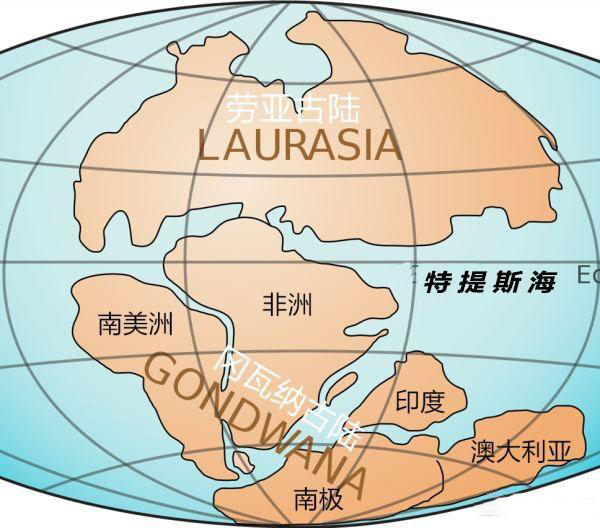 撒哈拉沙漠有多深？如果挖空沙子，下面还能剩下什么？