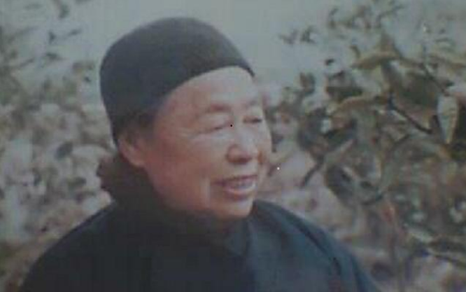 74岁江西农妇来到北京，见到妇联主席后失声痛哭：我是陈毅老婆