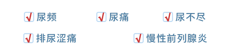 解锁“提肛运动”，肛肠、前列腺、泌尿系统都会感谢你