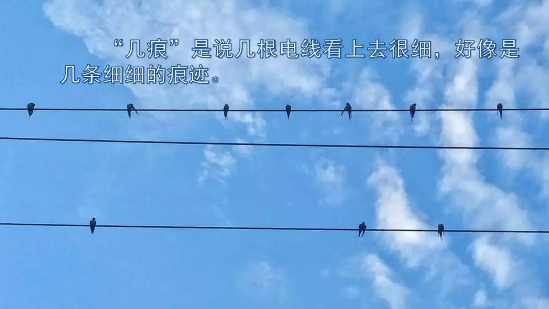 部编版三年级语文下册第二课《燕子》知识点及课堂测试题